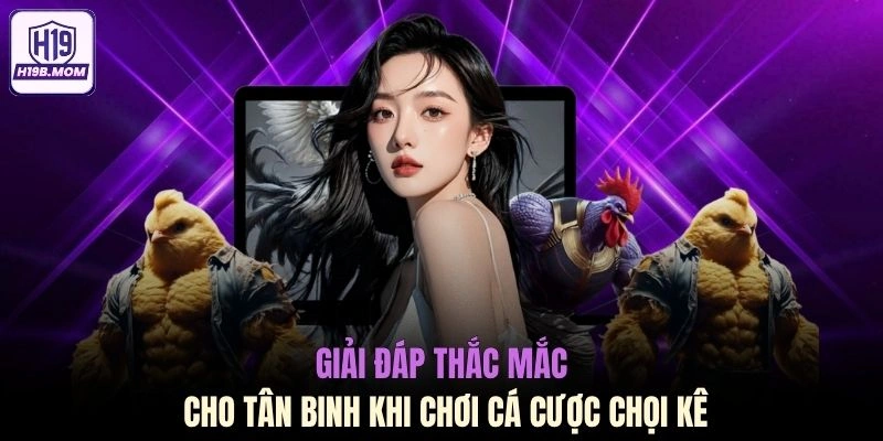 Giải đáp thắc mắc cho tân binh khi chơi cá cược chọi kê